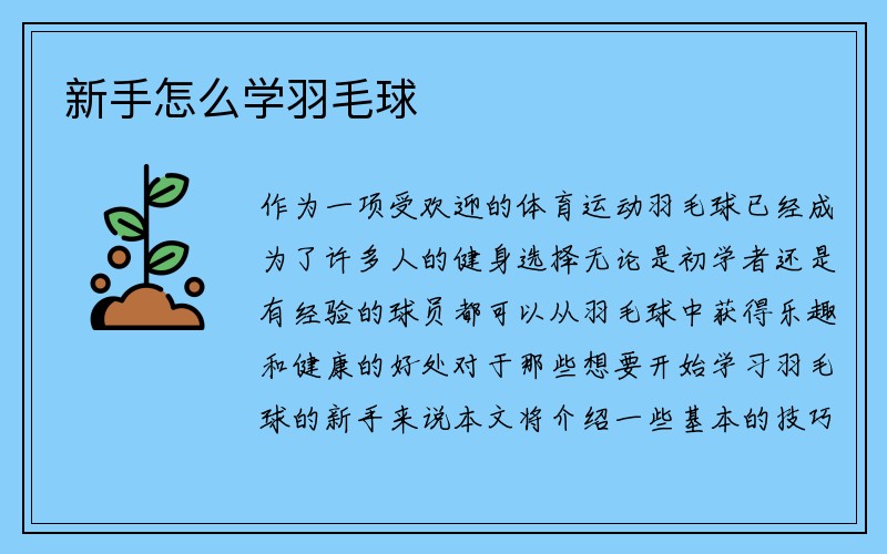 新手怎么学羽毛球