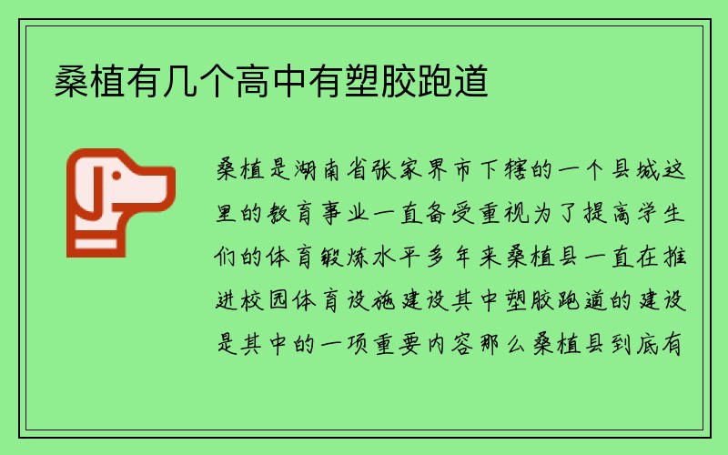 桑植有几个高中有塑胶跑道