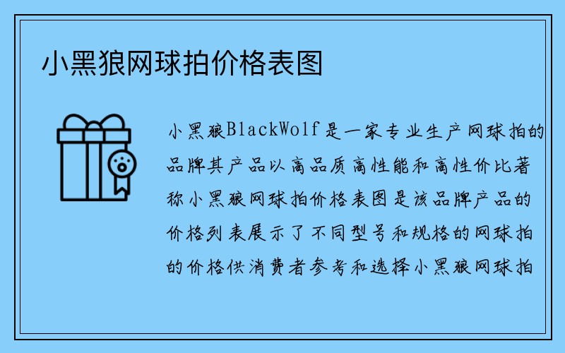 小黑狼网球拍价格表图