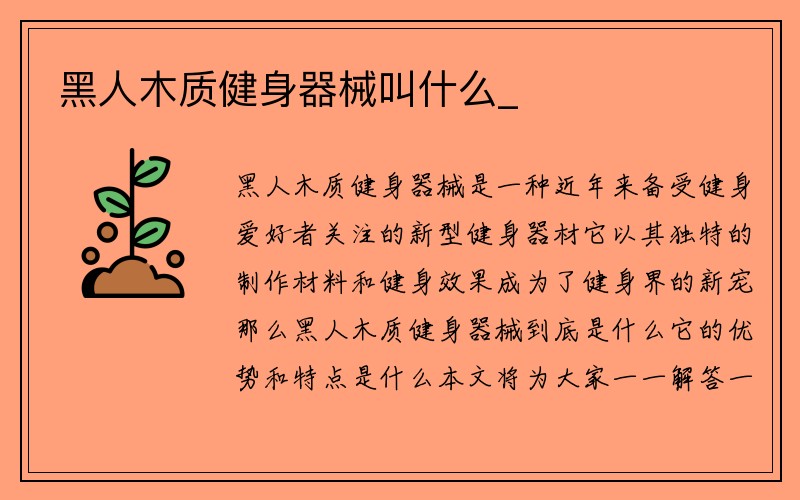 黑人木质健身器械叫什么_