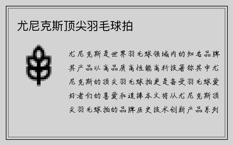 尤尼克斯顶尖羽毛球拍