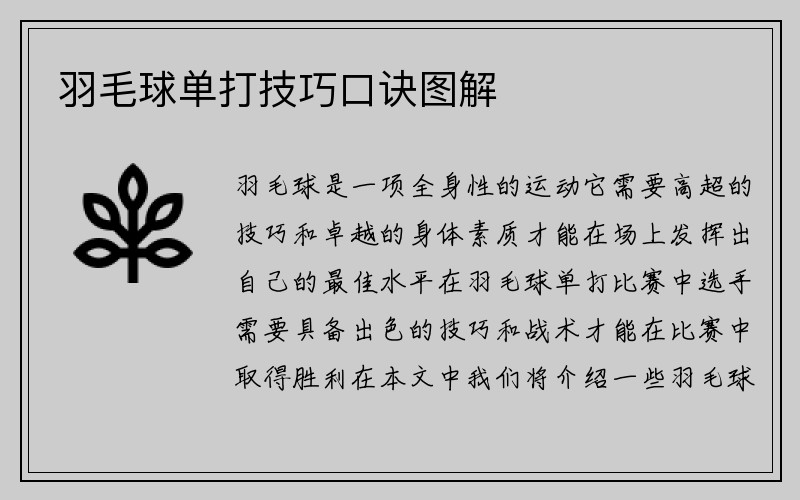 羽毛球单打技巧口诀图解