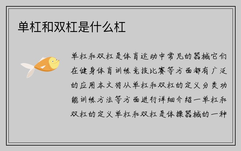 单杠和双杠是什么杠