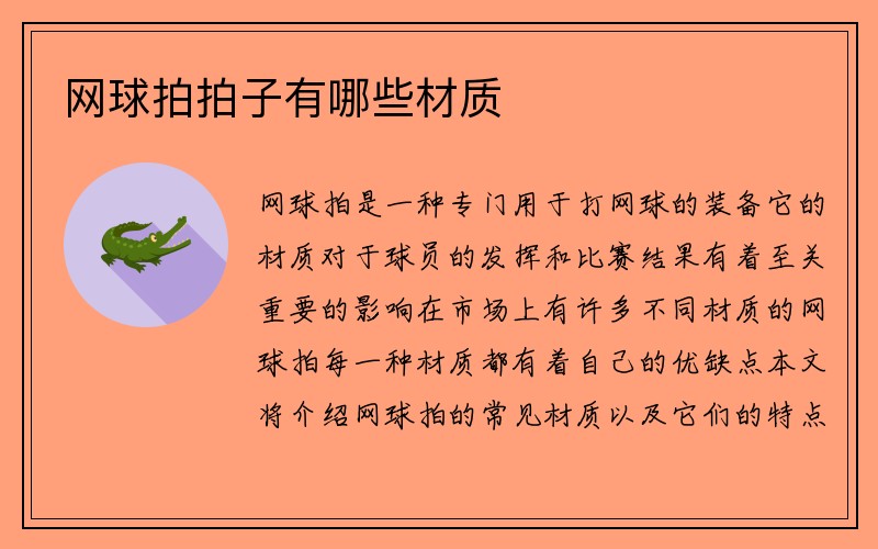 网球拍拍子有哪些材质