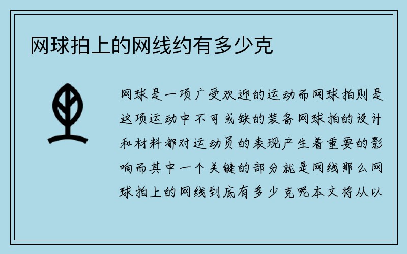 网球拍上的网线约有多少克