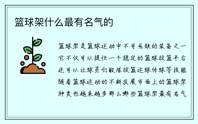 篮球架什么最有名气的